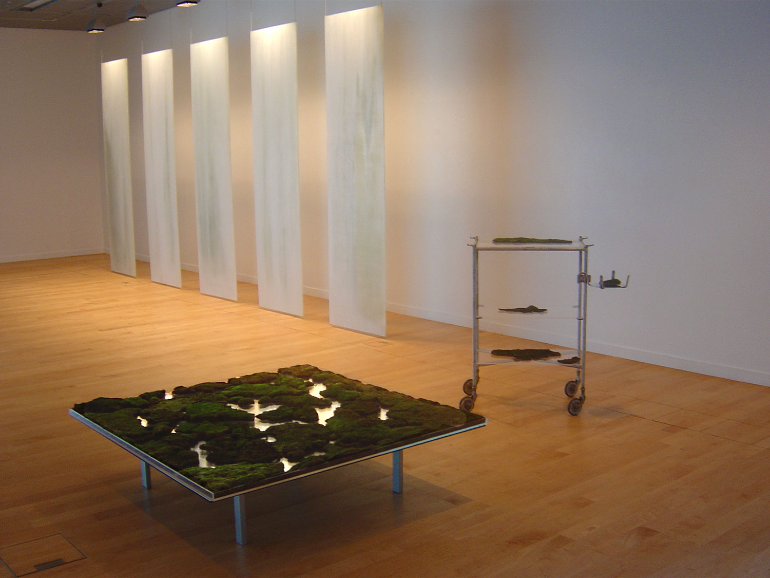 Guðbjörg Lind Jónsdóttir Artist