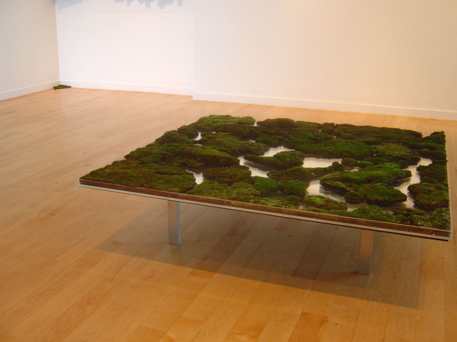 Guðbjörg Lind Jónsdóttir Artist