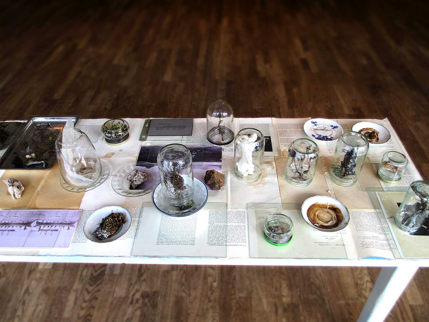 Guðbjörg Lind Jónsdóttir Artist