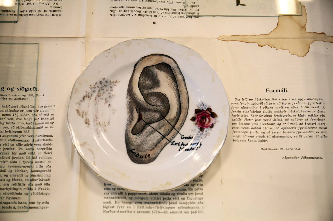 Guðbjörg Lind Jónsdóttir, Phenomen 2017, Natural History Museum, Iceland