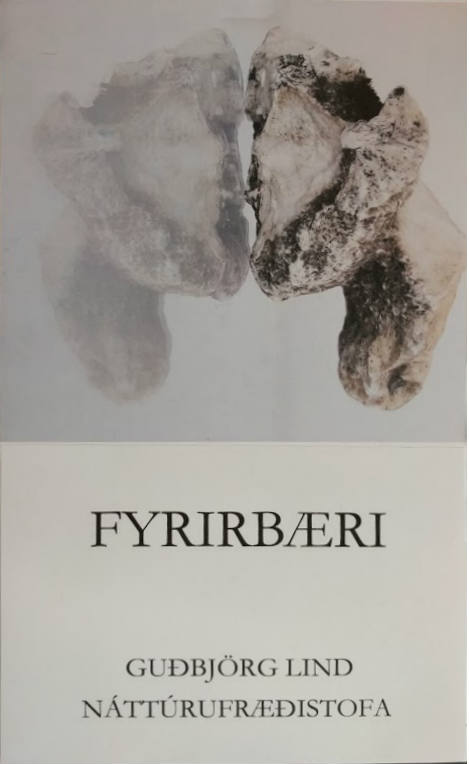 Guðbjörg Lind Jónsdóttir, Phenomen 2017, Natural History Museum, Iceland