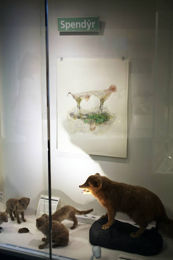 Guðbjörg Lind Jónsdóttir, Phenomen 2017, Natural History Museum, Iceland