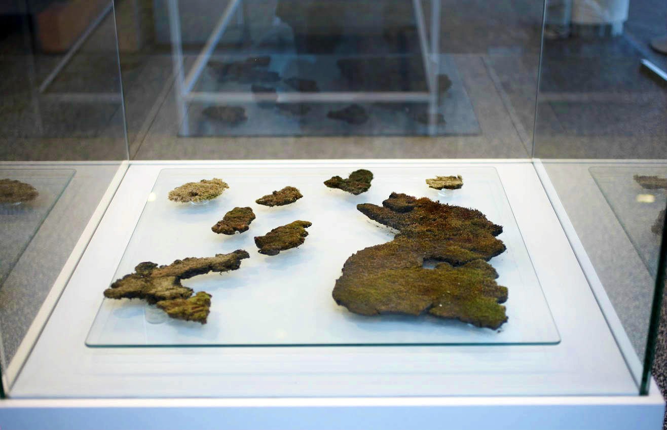 Guðbjörg Lind Jónsdóttir artist, Phenomenen 2017