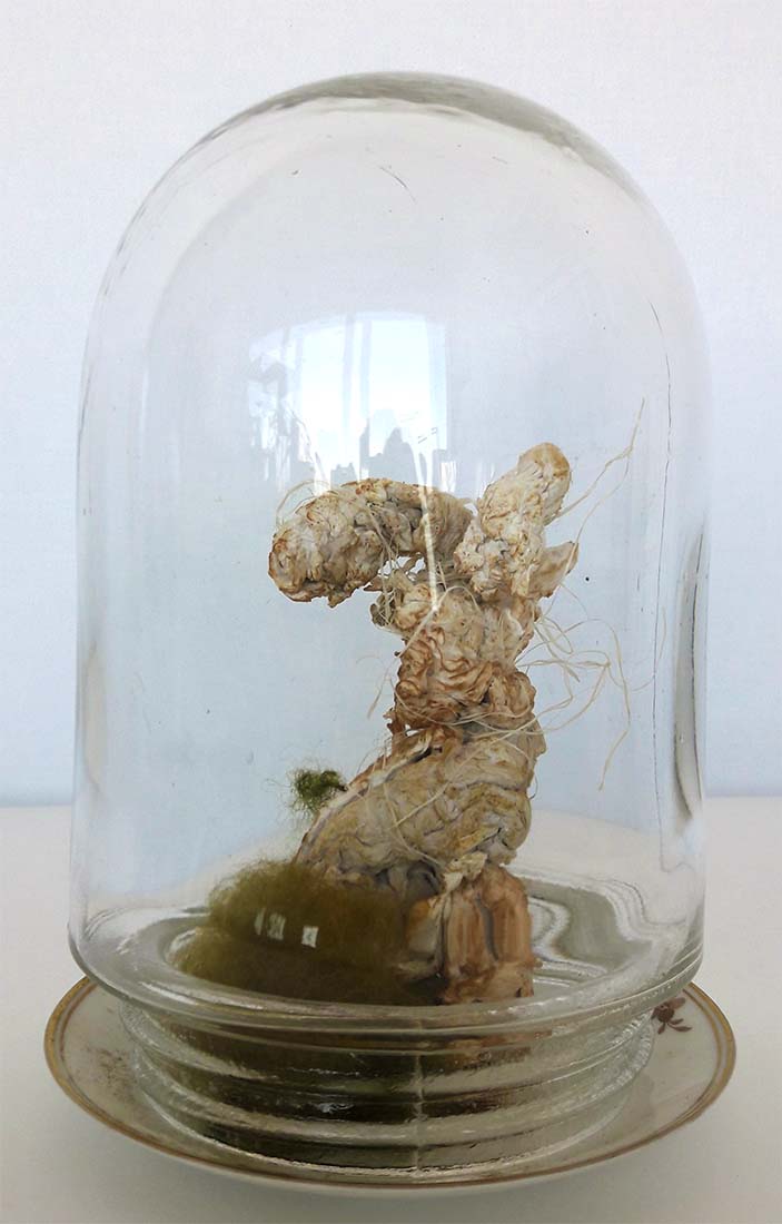 Guðbjörg Lind Jónsdóttir artist, Phenomenen