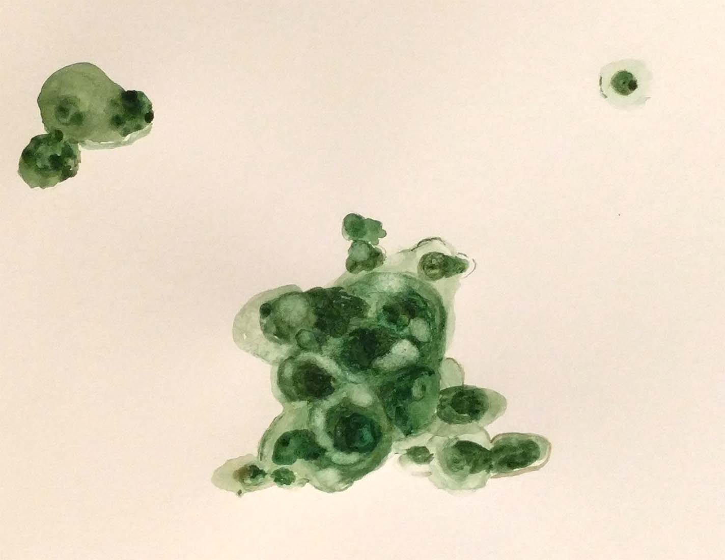 Guðbjörg Lind Jónsdóttir artist, Phenomenen