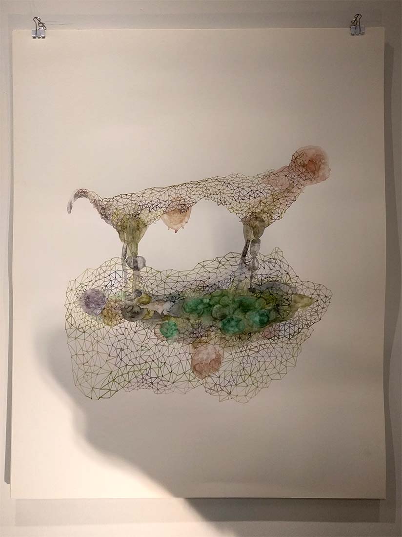 Guðbjörg Lind Jónsdóttir artist, Phenomenen