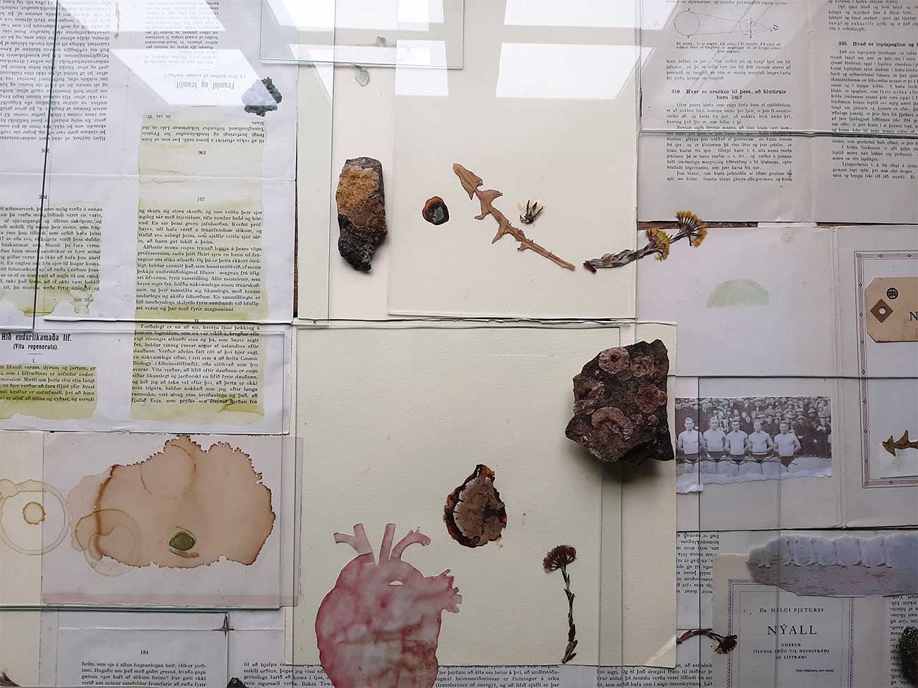 Loftskeyti 2019, Guðbjörg Lind Jónsdóttir