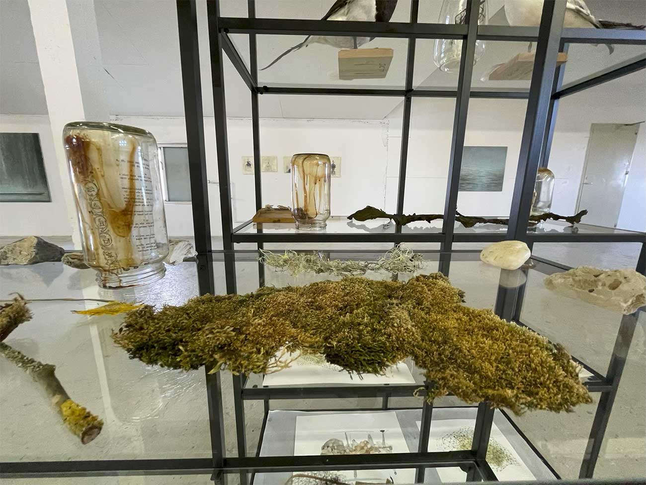 Brot af heild – Á mörkum hugar og náttúru 2021