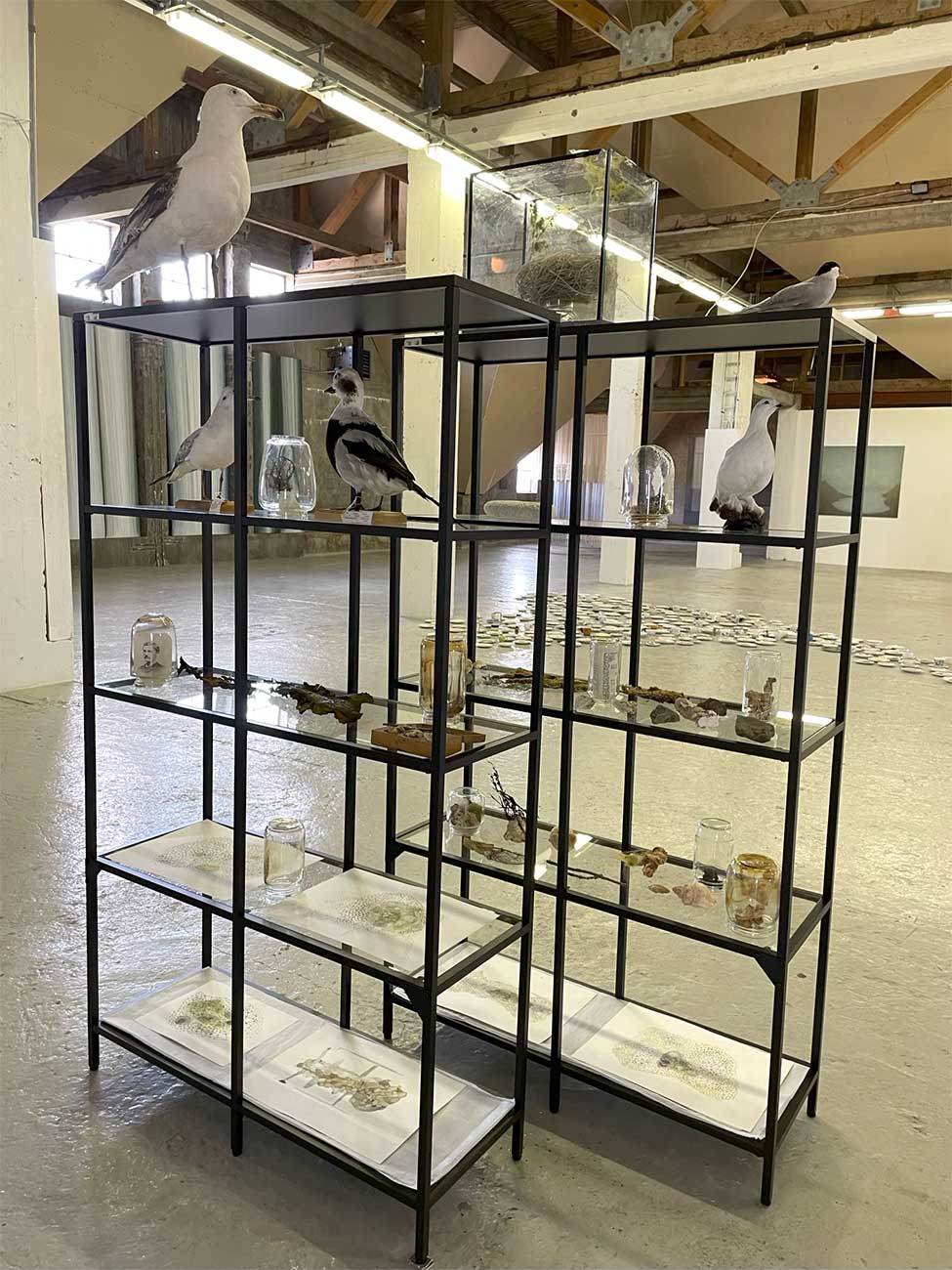 Brot af heild – Á mörkum hugar og náttúru 2021