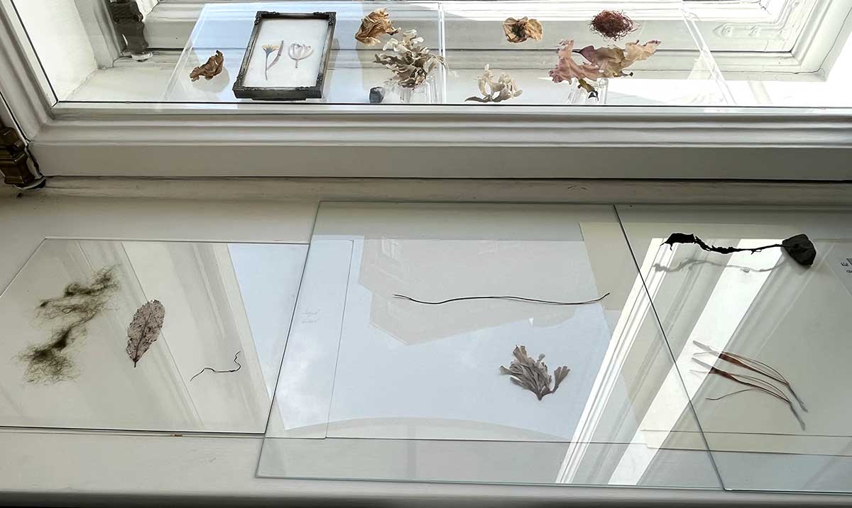 Guðbjörg Lind Jónsdóttir artist - Exhibition: Ocean Connection